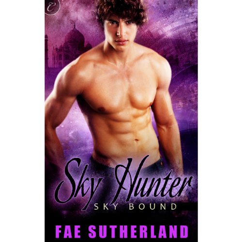 Cover of Sky Hunter