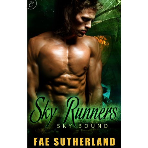 Cover of Sky Runners