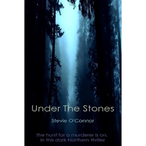 Cover of Under The Stones