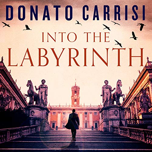 Cover of Into the Labyrinth