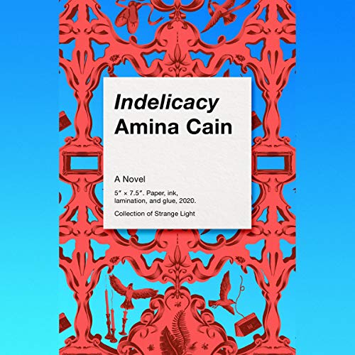 Cover of Indelicacy