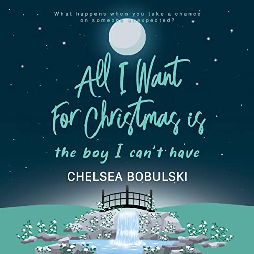 Cover of All I Want for Christmas Is the Boy I Can't Have