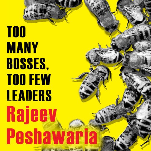 Cover of Too Many Bosses, Too Few Leaders