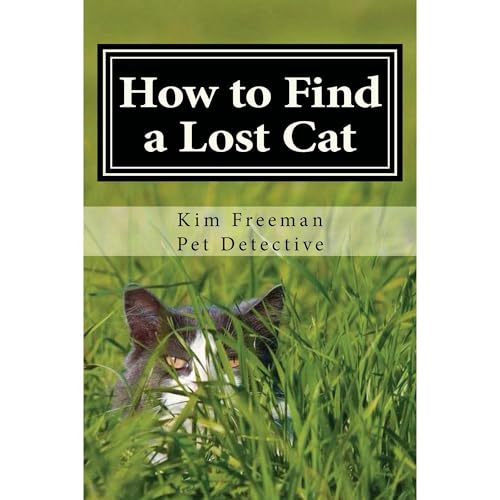 Cover of How to Find a Lost Cat