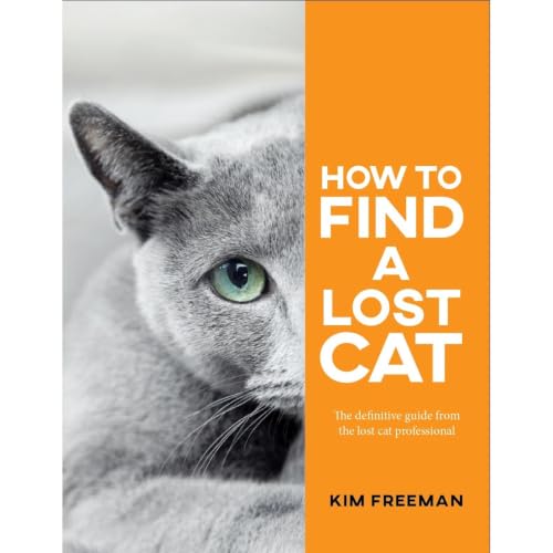 Cover of How to Find a Lost Cat