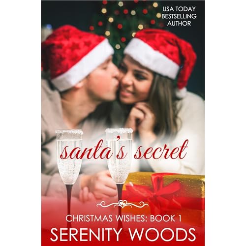Cover of Santa's Secret