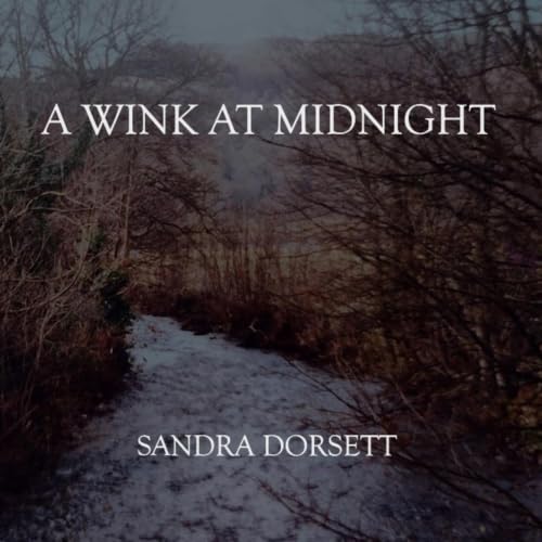 Cover of A Wink at Midnight