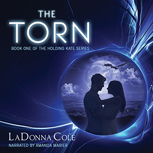 Cover of The Torn