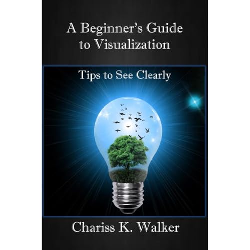 Cover of A Beginner's Guide to Visualization