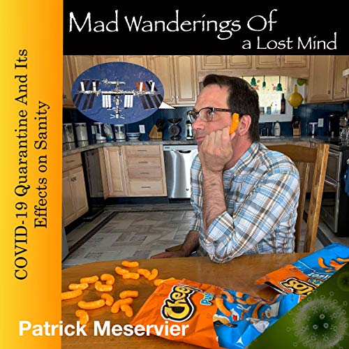 Cover of Mad Wanderings of a Lost Mind
