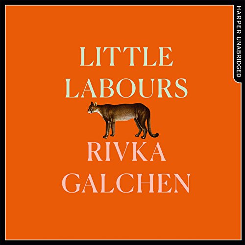 Cover of Little Labours
