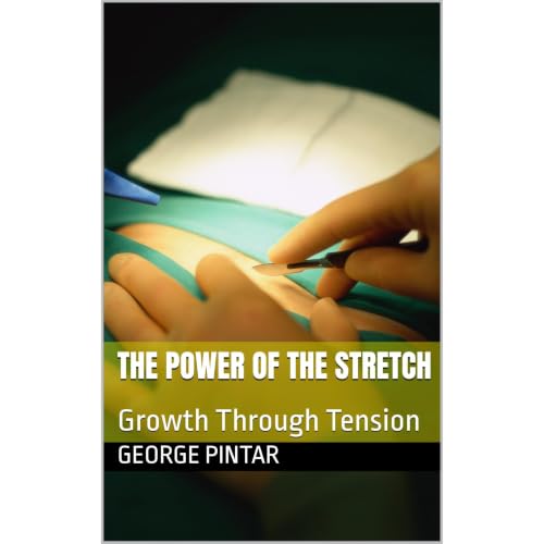 Cover of THE POWER OF THE STRETCH