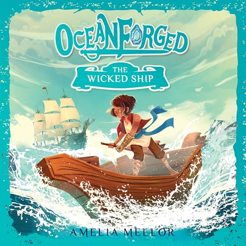 Cover of The Wicked Ship