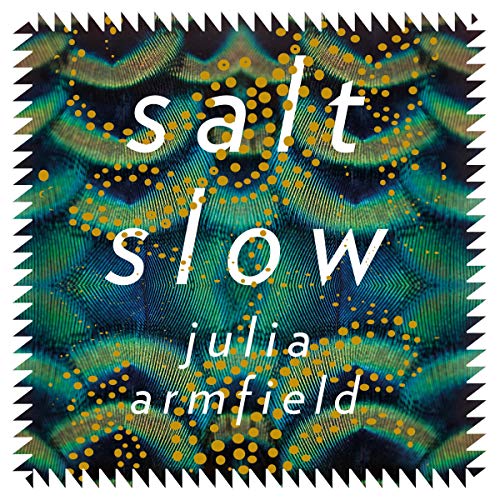 Cover of Salt Slow