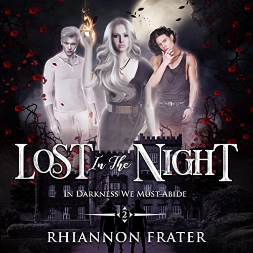 Cover of Lost in the Night