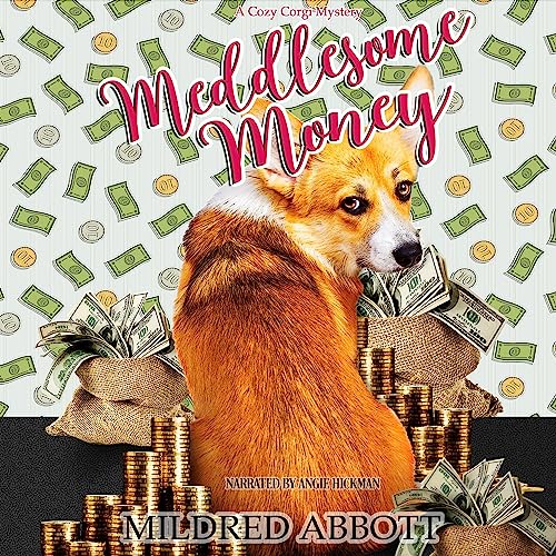 Cover of Meddlesome Money