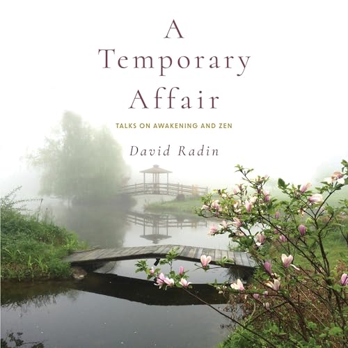 Cover of A Temporary Affair