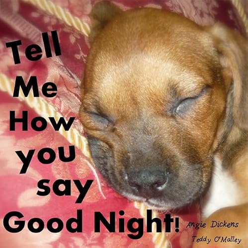 Cover of Tell Me How You Say Good Night