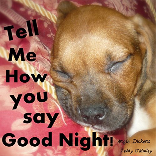Cover of Tell Me How You Say Good Night