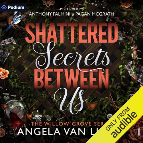 Cover of Shattered Secrets Between Us