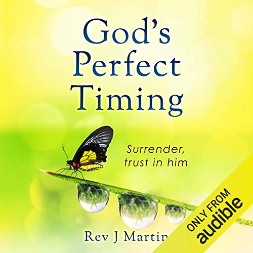 Cover of God's Perfect Timing