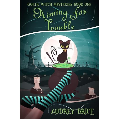 Cover of Aiming for Trouble