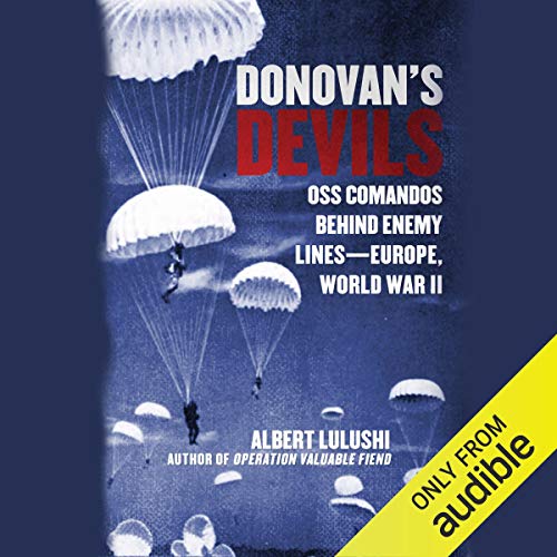 Cover of Donovan's Devils