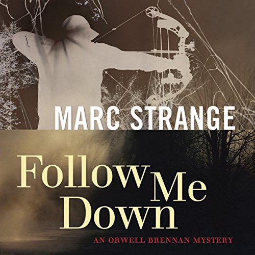 Cover of Follow Me Down