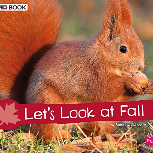 Cover of Let's Look at Fall