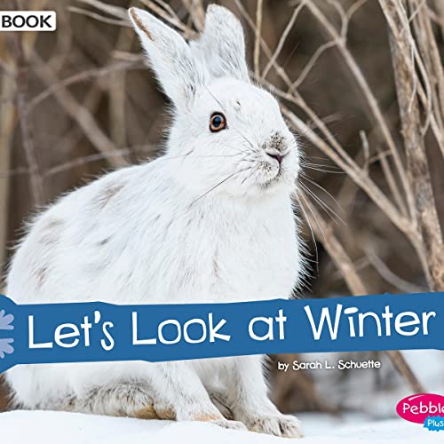 Cover of Let's Look at Winter