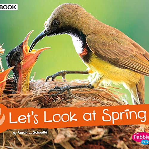 Cover of Let's Look at Spring