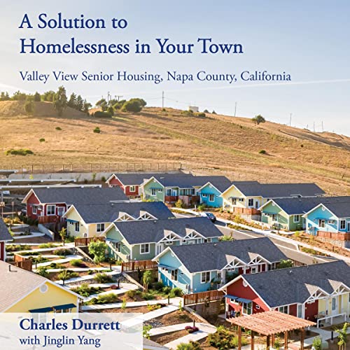 Cover of A Solution to Homelessness in Your Town