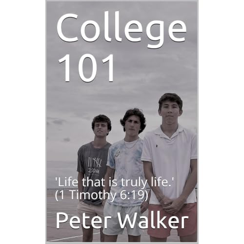 Cover of College 101