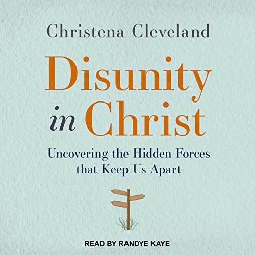 Cover of Disunity in Christ