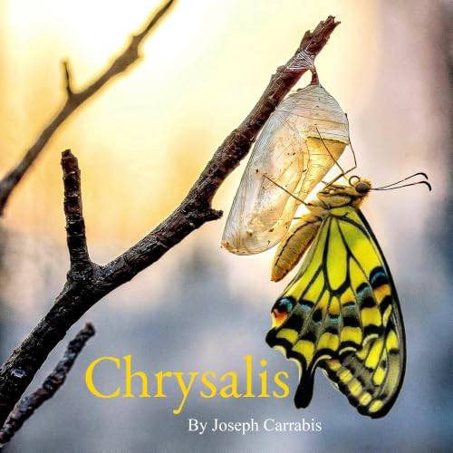Cover of Chrysalis