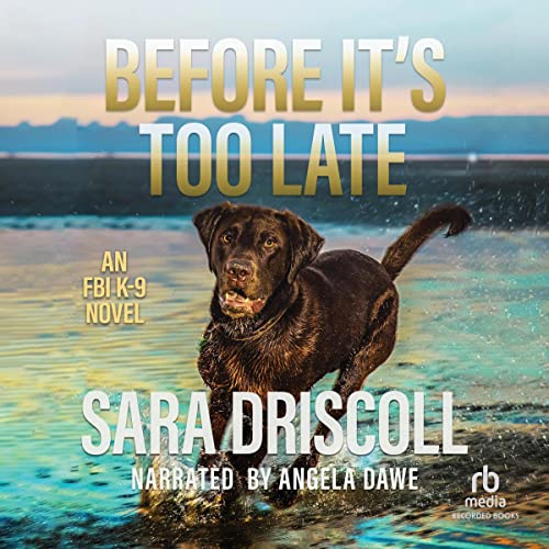 Cover of Before It's Too Late