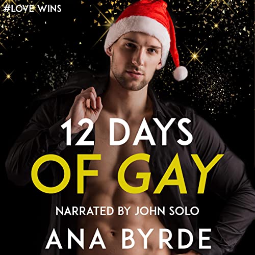 Cover of 12 Days of Gay