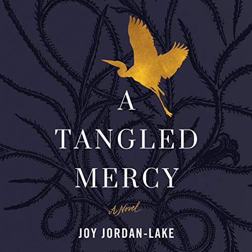 Cover of A Tangled Mercy