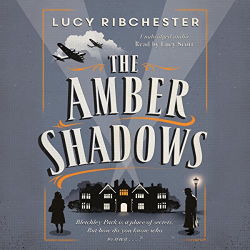 Cover of The Amber Shadows