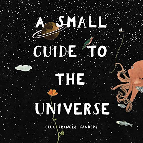 Cover of A Small Guide to the Universe