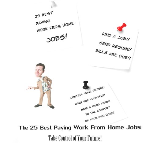 Cover of 25 Best Paying Work from Home Jobs