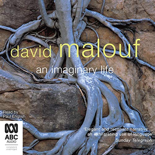 Cover of An Imaginary Life