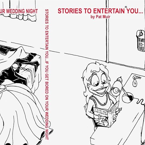 Cover of Stories to Entertain You...If You Get Bored on Your Wedding Night