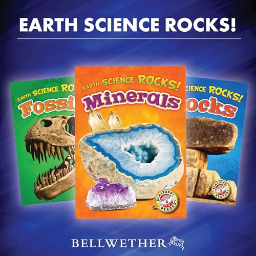 Cover of Earth Science Rocks!