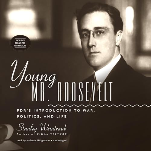 Cover of Young Mr. Roosevelt