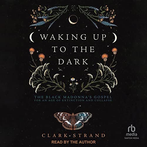 Cover of Waking Up to the Dark