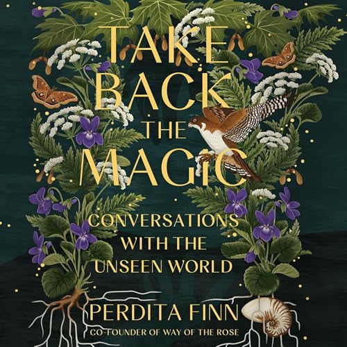 Cover of Take Back the Magic
