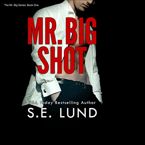 Cover of Mr. Big Shot