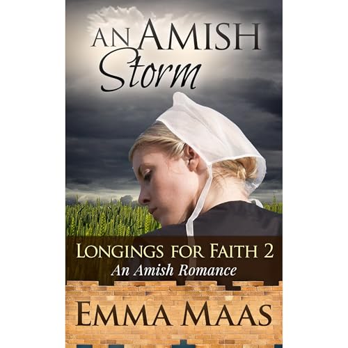 Cover of An Amish Storm
