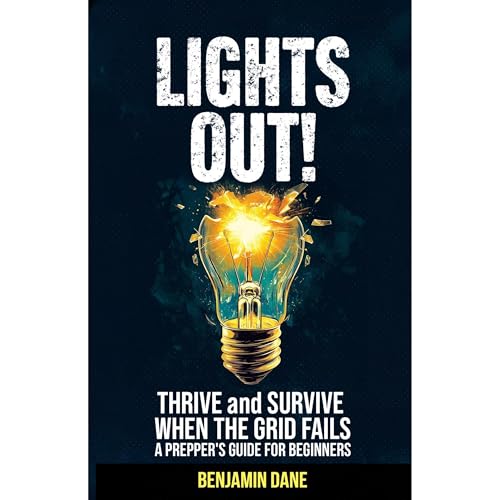 Cover of Lights Out!